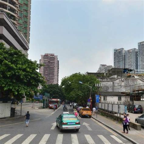 深圳市规划和自然资源局龙岗管理局关于宝龙街道宝荷九年一贯制学校新建工程拟使用龙岗区林地的公示--通知公告