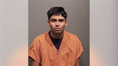 Tren de Aragua gang member arrested in NYC raid was 'trying to buy ...