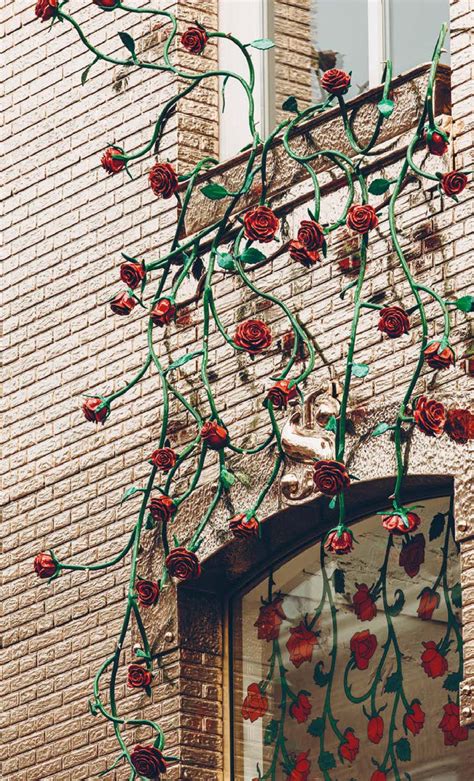 The Rose House Amsterdam – Goldene Fassade mit SuprAnodic Pulverlack ...