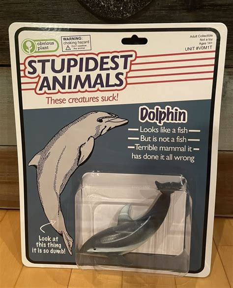 Obvious Plant Stupidest Animals Dolphin Figure Internet Meme Art Toy ...