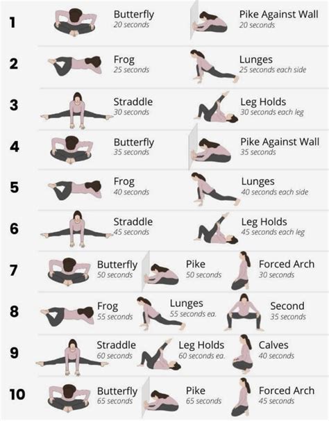 Stretching Exercises Examples 的图像结果