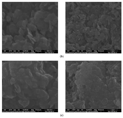 Co-Ni Cyanide Bi-Metal Catalysts: Copolymerization of Carbon Dioxide ...