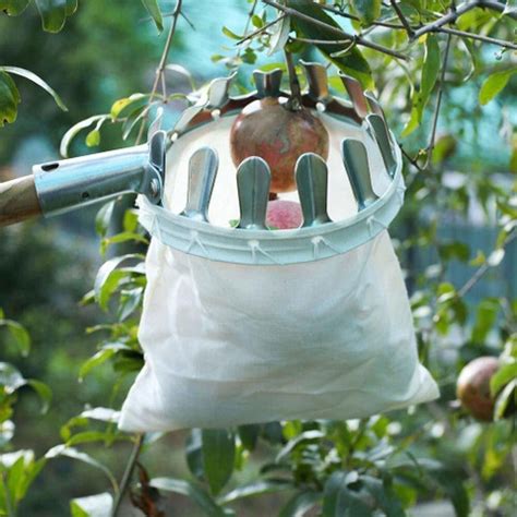 SYGA Fruit Picker Garden Tool Kit Price in India - Buy SYGA Fruit ...