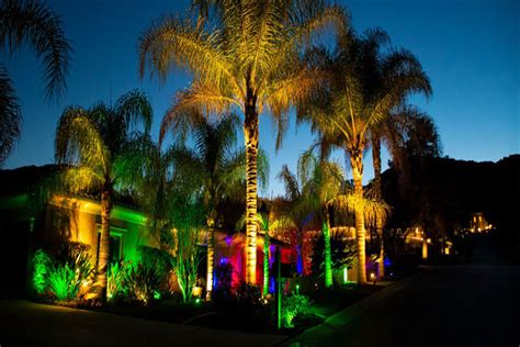 Landscape Tree Lighting 的图像结果