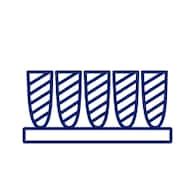 STAINMASTER Carpet at Lowes.com