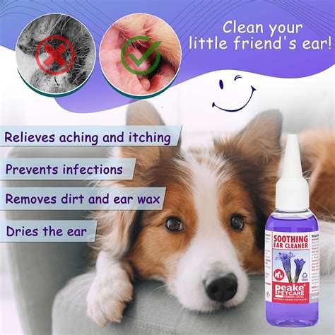 Quistel Dog Ear Cleaner Solution - Soothing Canaural Ear Drops - Dog ...