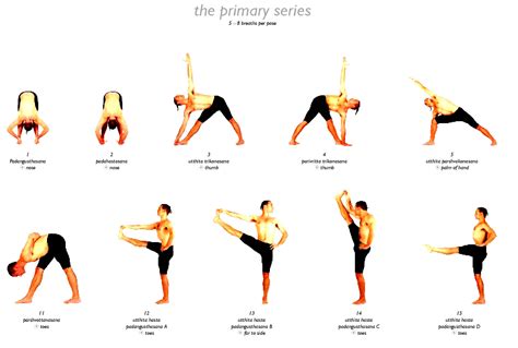 Types Of Yoga Poses