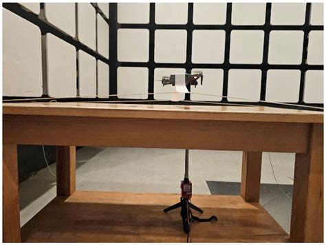 Investigation on Electromagnetic Immunity of Unmanned Aerial Vehicles ...