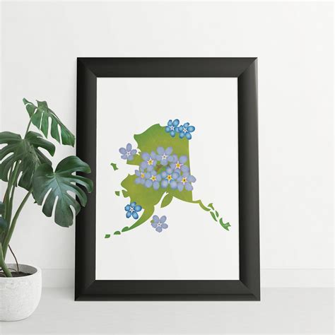 Alaska State Flower Forget Me Not, Digital Download, USA Geography and ...