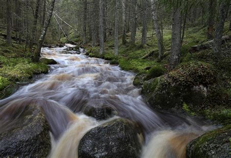 THE BEST Southern Ostrobothnia Beaches (2026) - with Reviews