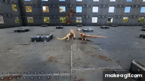 Image result for Mesopithecus vs