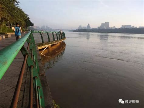 广西柳州柳江河今年以来首次超警 沿江商铺道路被淹-天气图集-中国天气网