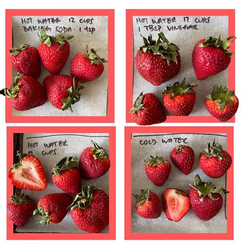 Effective Techniques to Clean Strawberries Safely and Preserve Their Flavor - Smart.DHgate ...