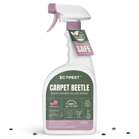 Carpet Beetle Spray – Natural, Plant-Based Killer for Carpet Beetles ...