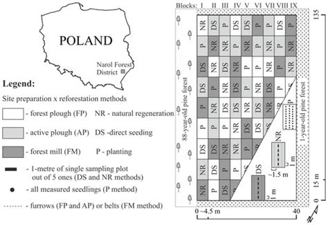 Effects of Reforestation and Site Preparation Methods on Early Growth ...