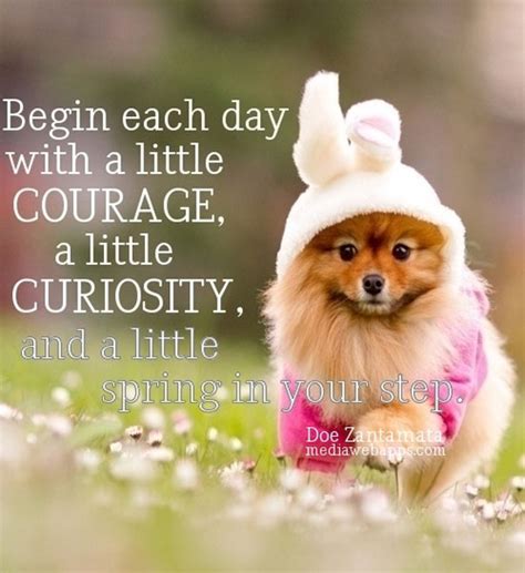 Spring Funny Animal Quotes. QuotesGram