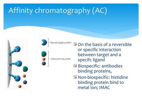 Image result for Basic Principles of Protein Purification