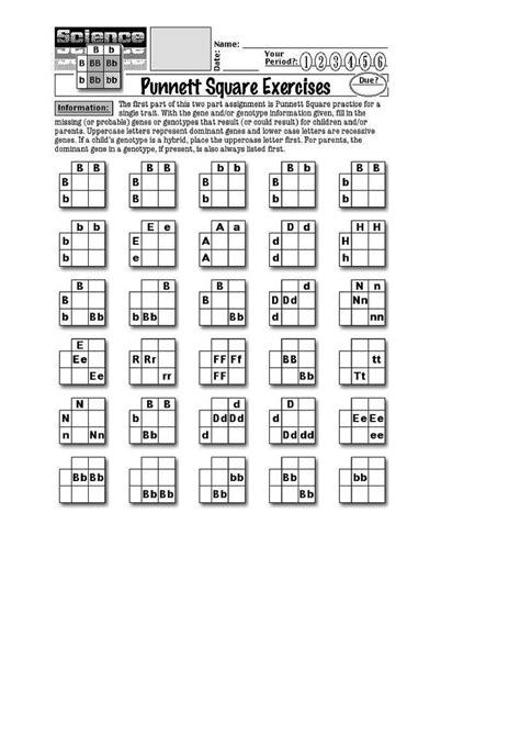 Blank Printable Punnett Squares