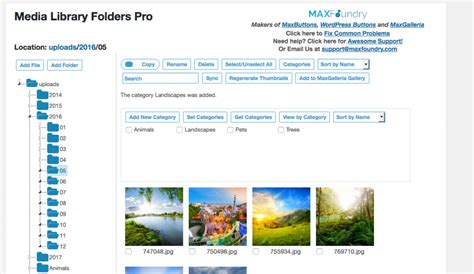Image result for Categorizing Media Files Using Folder in WordPress