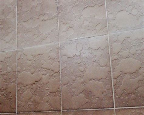 VILLA MEXICANA (Puerto Escondido) - Apartment Reviews, Photos, Rate ...