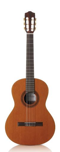 Image result for Steel String Classical Guitar