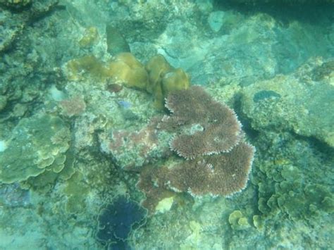 Pulau Lang Tengah Tourism (2022): Best of Pulau Lang Tengah - Tripadvisor