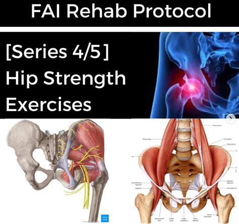 FAI Rehab Protocol Part 4 - Hip Strength Exercises | Modern Manual ...