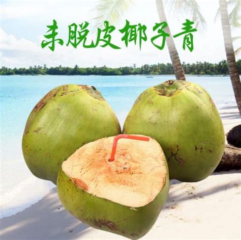 椰谷领头鲜椰子水245g*8瓶开盖即食植物椰子饮料一件代发-阿里巴巴