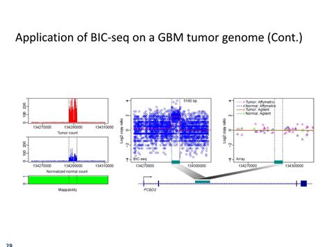 Image result for Copy Number Variation Detection