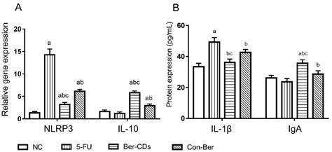 Berberine-Based Carbon Quantum Dots Improve Intestinal Barrier Injury ...