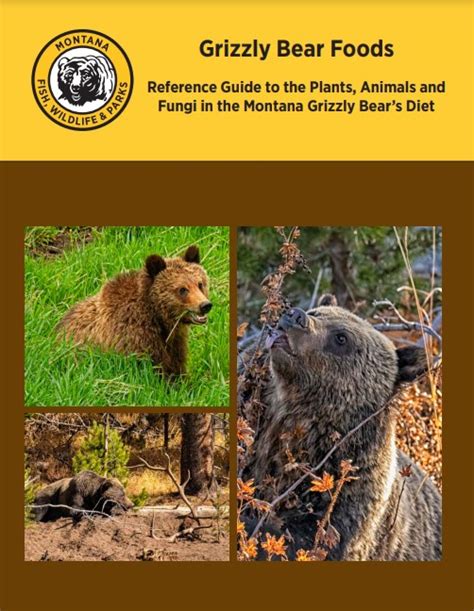 Sabrina Bradford Publishes Grizzly Bear Foods Reference Guide ...