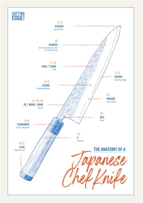 Anatomy of a chef knife poster – Cutting Edge Knives