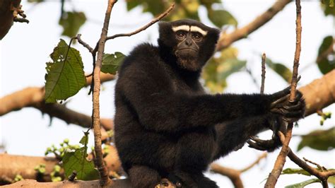 Want to immerse yourself in nature? This is where you should go on your ...