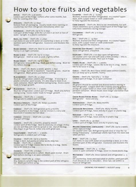 Image result for How to Store Food Properly Chart