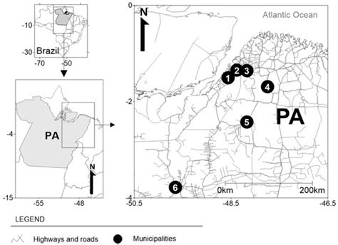 Digital Form for Assessing Dentists’ Knowledge about Oral Care of ...