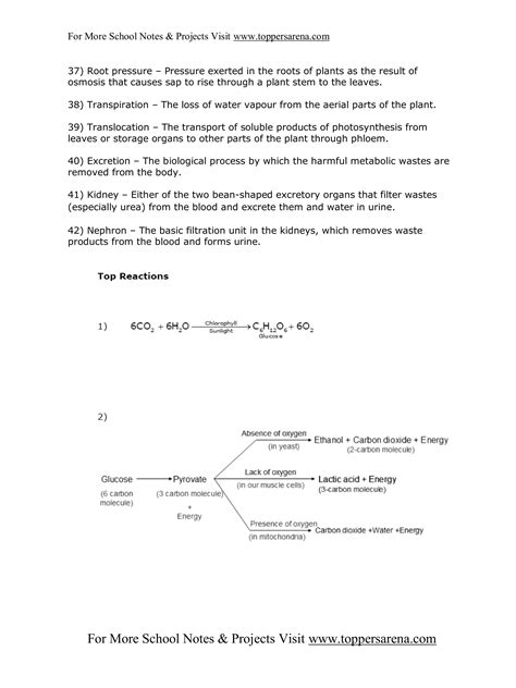 X biology full notes chapter 1 | PDF