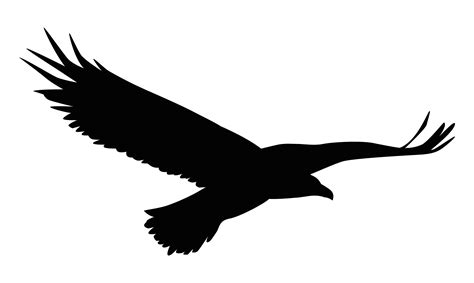 Silhouette Of Eagle Flying