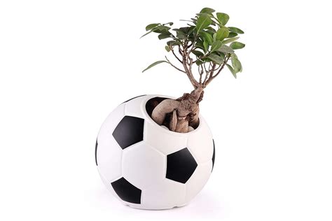 Regalo Modern Design Unique Football Shape Planter and Trendy Pot for ...