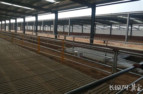 保定唐县开工建设四个高标准肉羊养殖小区-中国质量新闻网