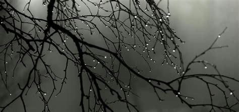 Heavy Rain Sound Effect 的图像结果