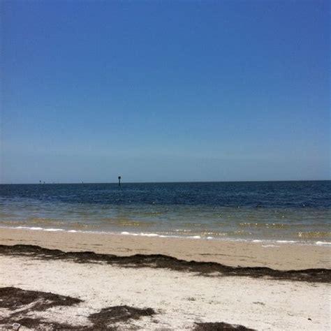 Image result for Shell Point Beach