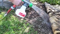 ameisen im bad was tun ameisen im garten was ist zu tun bei vielen ameisen im ameisen im bad was tun ameisen im garten was ist zu tun bei vielen ameisen im
