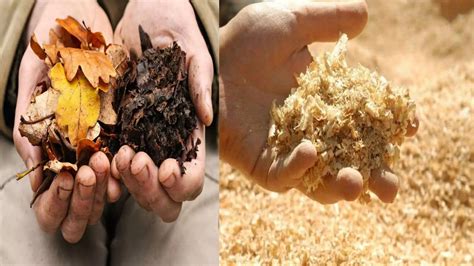 Image result for Basic Stock Control Procedures