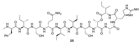 Siderophore–Antibiotic Conjugate Design: New Drugs for Bad Bugs?