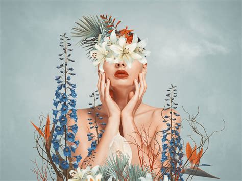 Multimedia Drawing Examples 的图像结果