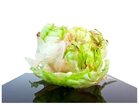 What is rusty lettuce and is it fit for human consumption? | The Times ...