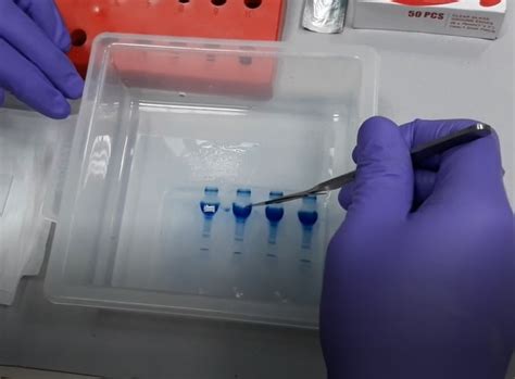 Rajiv Gandhi Centre for Biotechnology (RGCB), Department of ...