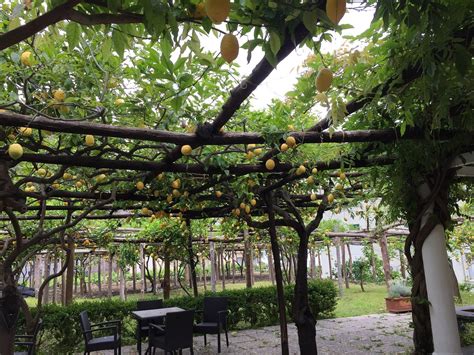 Wonderful place to stay. - Review of Hotel Maiori Antica, Maiori ...