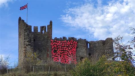 P﻿oppies cascade down Dudley Castle - BBC News