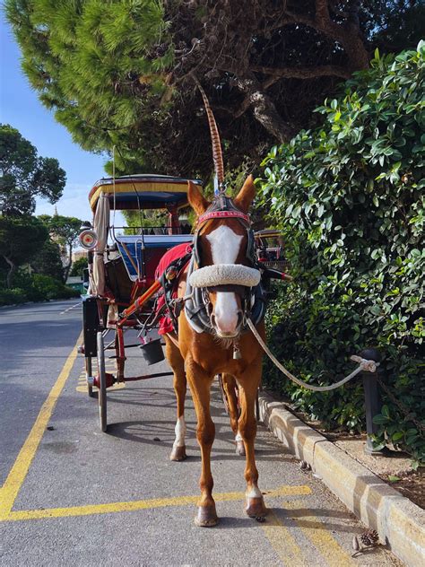 Exploring Malta with Kids: 15 Must-Do Family Activities (+ Free ...